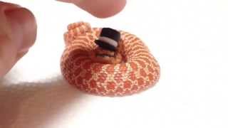 Fancypants Hognose Snakes  Like a Ssssir [upl. by Atinahs]