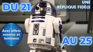 R2D2 de SpotTVAltaya [upl. by Flin]