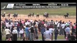 25032016 – Hipodromo Paysandu – Carr 11 – INTENDENCIA MUNICIPAL DE PAYSANDÚ [upl. by Pelletier]