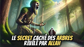 Le SECRET Choc dALLAH RÉVÉLÉ aux ARBRES  Tu ne le Croiras Pas [upl. by Onilatac]