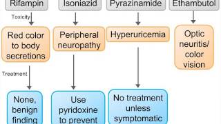 Step 2 High Yield  Pulmonology Tuberculosis [upl. by Nylcsoj]