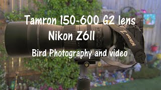 Tamron 150600 G2 Lens on Nikon Z6II bird video and photography [upl. by Horvitz]