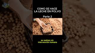 🥛COMO se HACE la LECHE en POLVO Parte 2 [upl. by Tychonn]