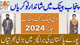 Bank of Punjab BOP Jobs 2024  Apply Now [upl. by Flint]