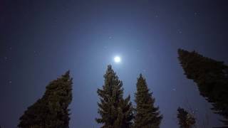 Leonids Meteor Shower 2019  Leoniden Meteorstrom [upl. by Eahcim]