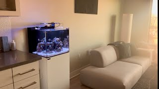 Nano Reef Tank Setup  Waterbox Cube 20 [upl. by Hplar]