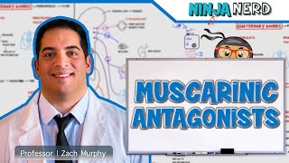 Autonomic Pharmacology  Muscarinic Antagonists [upl. by Kushner]