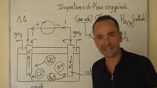 cours TS  chimie  electrolyse du chlorure de sodium réactions aux électrodes [upl. by Hirz]