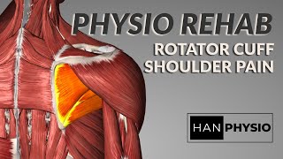 Shoulder Rotator Cuff Rehab  3 Exercises to Strengthen the Rotator Cuff [upl. by Oidacra]