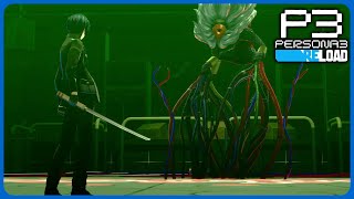 Full Moon Operation 6 Hermit Boss Fight  Persona 3 Reload [upl. by Chlores]