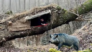 He Built An Amazing Shelter All By Himself [upl. by Jamel]