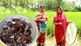 ধানক্ষেতের কাঁকড়া ধরে রান্না  crab hunting in fieldampcooking masala crab curry recipepopi kitchen [upl. by Rehptsirhc]