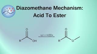 Diazomethane Mechanism Carboxylic Acid To Methyl Ester  Organic Chemistry [upl. by Aniroz]