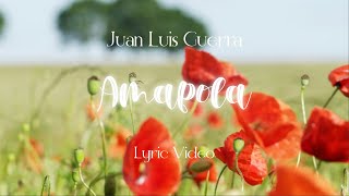 Juan Luis Guerra 440  Amapola Lyric Video [upl. by Aihsram617]