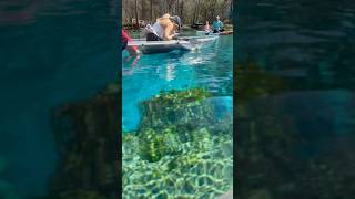 The Best Places to Kayak in Florida  Get Up And Go Kayaking Gilchrist Blue Springs near Gainesville [upl. by Diarmit]