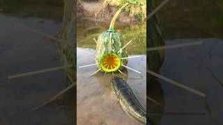 Survival Skills Simple and Useful with Pumpkin Fish trap survival bushcraft outdoors shrots [upl. by Ardnalahs287]