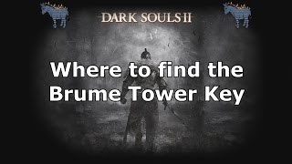 Dark Souls 2 Where to find the Brume Tower Key in Crown of the Old Iron King [upl. by Gnaoh]