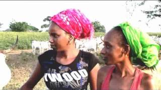 Clip Maman Africa Femmes [upl. by Yerdua5]