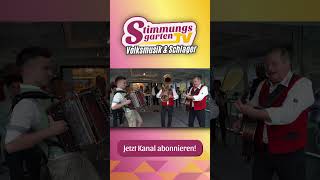 Volksmusik aus den Alpen  LIVE volksmusik blasmusik tirol shorts [upl. by Limay]