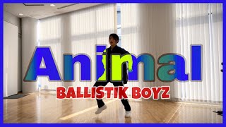 【いろぱん】BALLISTIK BOYZ『Animal』【ダンス】【踊ってみた】 [upl. by Onitselec]