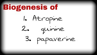 Biogenesis of atropine reserpine  papaverin quinine [upl. by Conover]