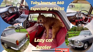 Wolseley 1660 rough and ready but Toby loved it can’t beat an A60 for a winter classic [upl. by Harvard342]