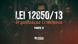 Lei 1285013  Organização Criminosa  Parte 9  CANTADA EM SERTANEJO [upl. by Ringe142]