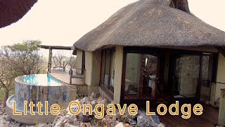 Little Ongava Safari Lodge Namibia [upl. by Narra952]