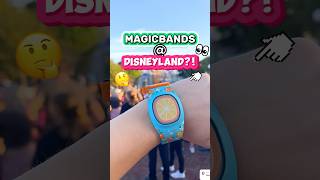 Can You Use MagicBands  Disneyland 🤔🏰 Key Features amp Tips [upl. by Marcell]