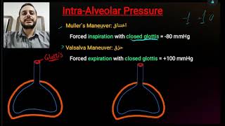 2 Intrapleural pressure [upl. by Ozneral]