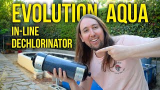 Evolution Aqua Detox Inline Pond Dechlorinator Review [upl. by Ruhl]