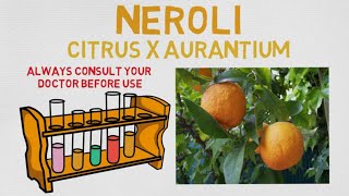 Essential Oil Breakdown Neroli Oil Benefits Uses and History Aromatherapy [upl. by Victoria133]