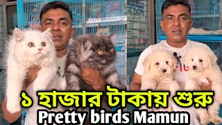 Katabon animal market BangladeshPersian CatMixed breed CatGerman Spitz puppyDog amp Cat price 2024 [upl. by Anneehs]