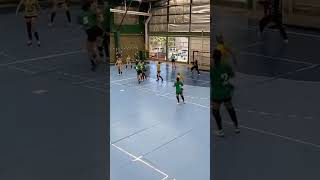 handball balonmano handballpic handballer handboll 2024 deportes goals handballmatch ferro [upl. by Renrew784]