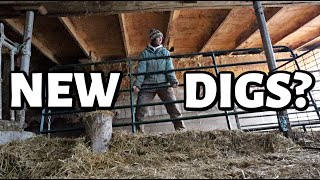 Some NEW YEAR changes for the sheep farm  scheduling winter prep and a pen expansion  Vlog 753 [upl. by Hinda502]