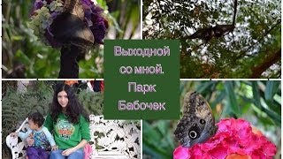 Vlog выходной со мной парк бабочек amp акулы Стокгольм fjärilshuset [upl. by Wiedmann587]