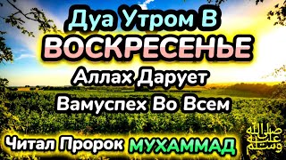 Дуа утром в воскресенье на Удачу Читал Пророк МУХАММАДﷺденьги всегда будут приходить к вам [upl. by Nwahsel40]