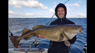 Spodsbjerg Langeland 2017  SDM Fishing Dänemark Dorsch Danmark Torsk  Denemarken Kabeljauw [upl. by Bushweller]