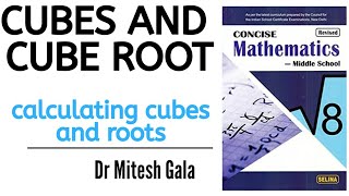 Std 8 Ex 4B Cubes and Cube Roots [upl. by Bean]