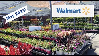 Walmart Garden Center Inventory May 2023 15 Endless summer hydrangeas Roses tuber begonias [upl. by Currey]