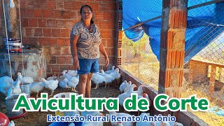 Avicultura de corte melhora renda de família no município de Monte das GameleirasRN [upl. by Airamak]