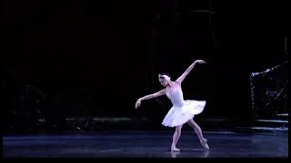 SWAN LAKE  Odette amp Siegfried Natalia Osipova amp Matthew Golding  Royal Ballet [upl. by Anikehs359]