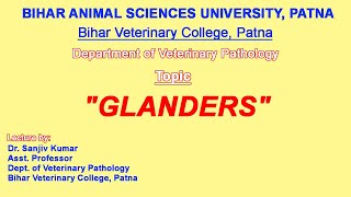 quotGLANDERSquot by Dr Sanjiv Kumar Assistant Professor Department of Veterinary Pathology BVC Patna [upl. by Llenoj362]