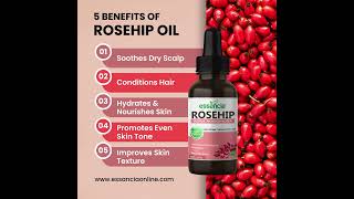 Essancia  Rosehip Carrier Oil for Acne Skin Care Healthy Nails Fine Lines Lip and Radiant Skin [upl. by Lardner]