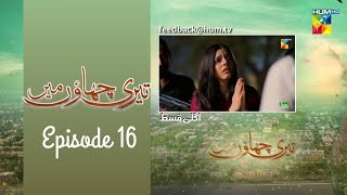 TeriChhaonMein  EP 16  Teri Chhaon Mein Drama Episode 16 [upl. by Hoseia657]