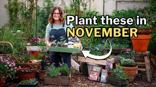 NOVEMBER PLANTING GUIDE Top Veggies Flowers and Herbs for Your Fall Garden [upl. by Neelyak]