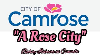 CAMROSE ALBERTA quotA ROSE CITYquot [upl. by Zsuedat537]