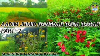 AADIM JUMID HANSDAH BAHA BAGAN PART 2surendrahansdahofficial3038 [upl. by Costin517]