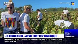 Les joueuses de lASVEL font les vendanges [upl. by Atalanta]