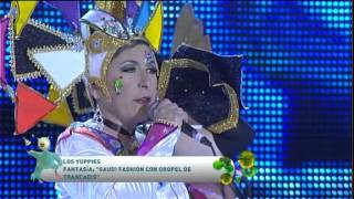 Concurso Agrupaciones Musicales Carnaval 2014  12 [upl. by Korrie]